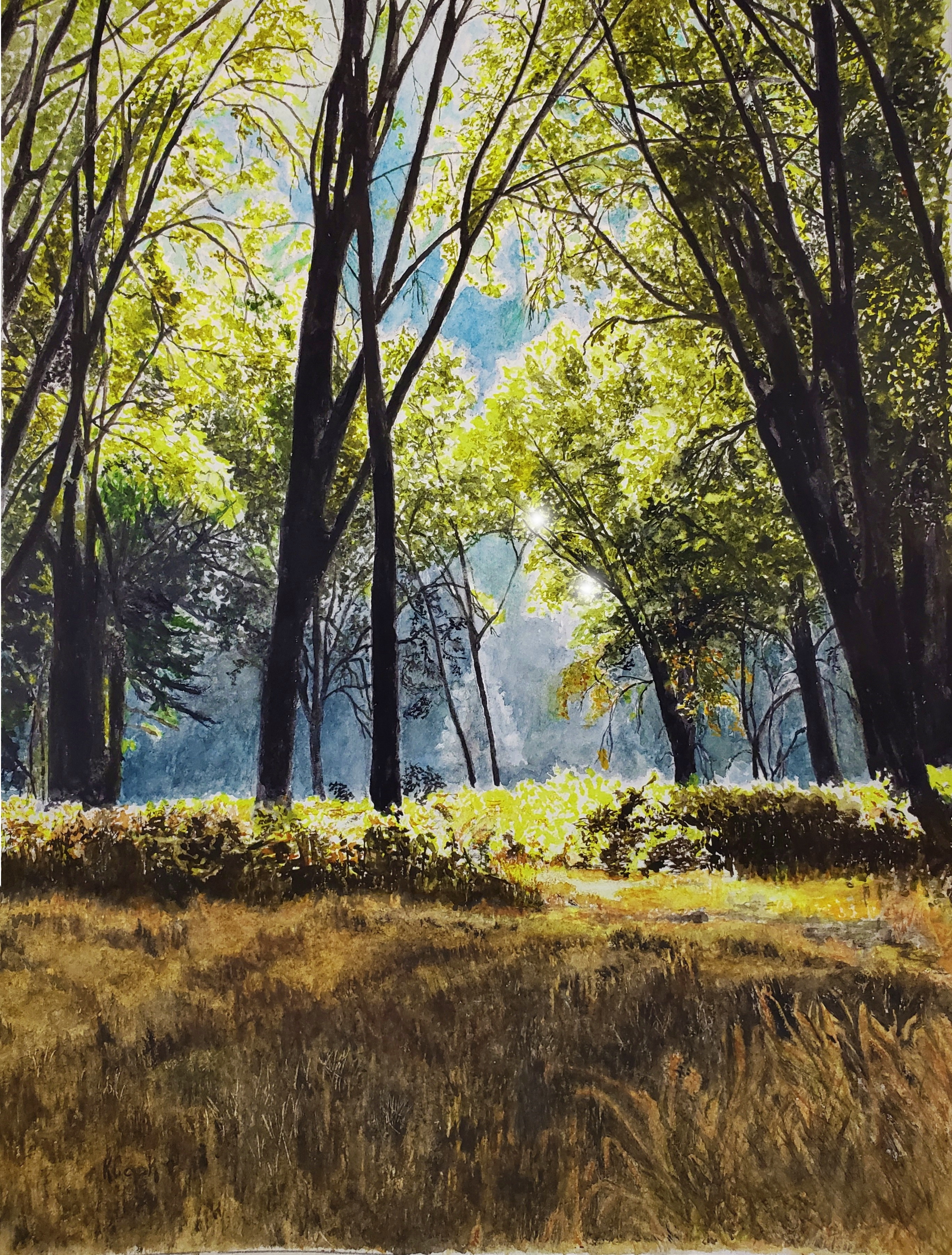 Yosemite trees painting by Karen