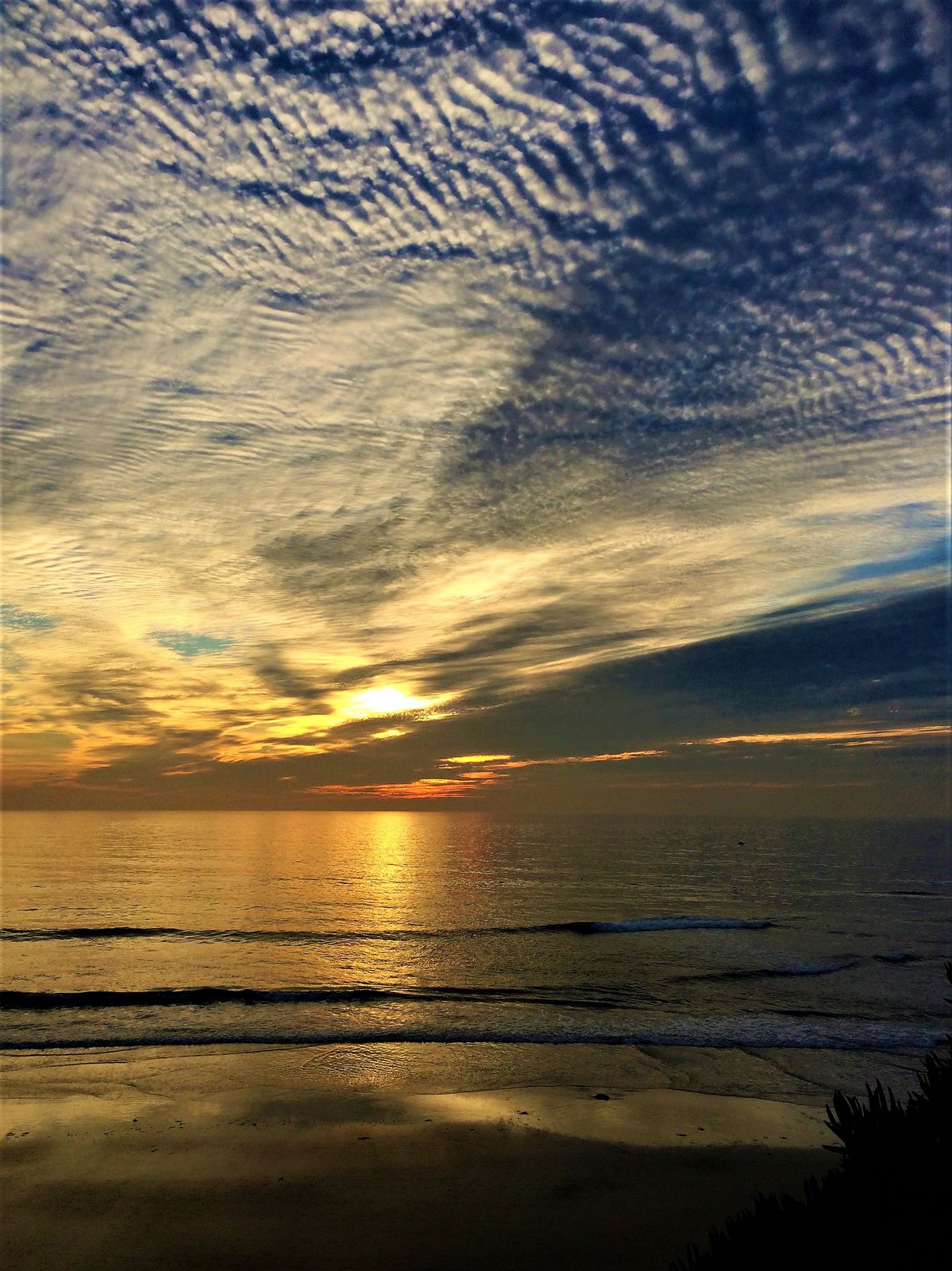 Another view of sunset at La Jolla
